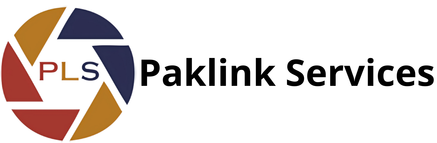 Paklink LLC Main Logo